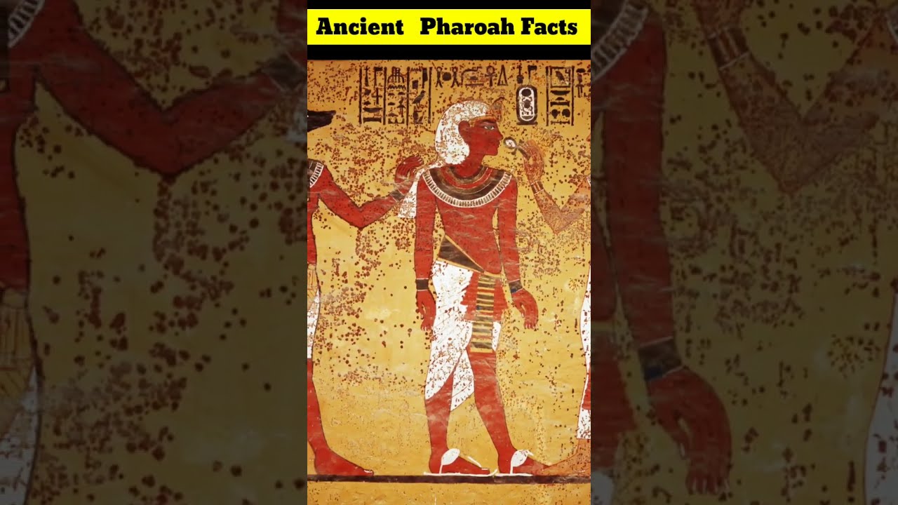 ancient Agyptian Pharoah and god horus #egyptiangods  #egyptianmythology #ancienthistoryegypt